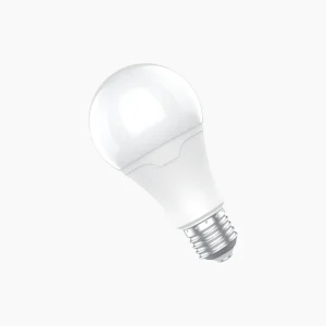 EcoBright A Series Bulb