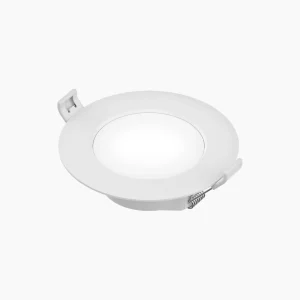 EcoBright Downlight